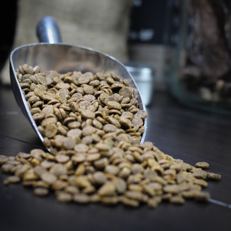 Pet Wants Salmon Meal & Brown Rice Recipe Dog Food
