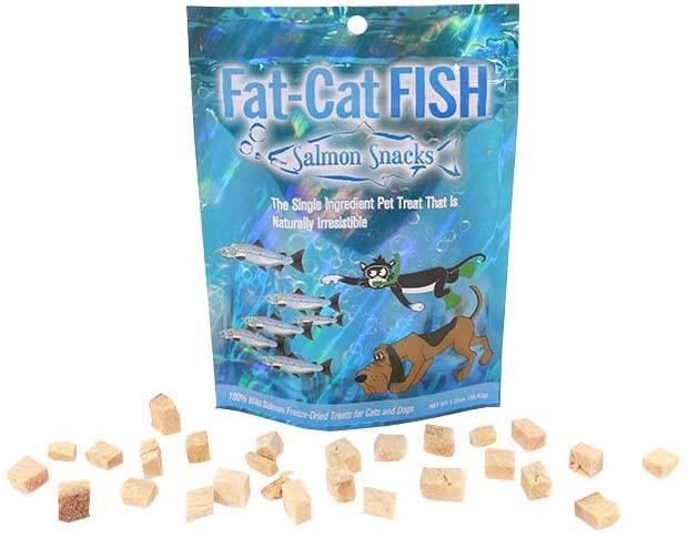 Fat-Cat Fish Wild Salmon Freeze-Dried Dog & Cat Treats, 1.25-oz