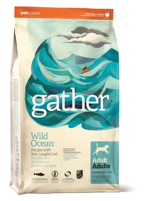 Gather Dry Dog Food, Adult, Wild Ocean Cod, 16-lb