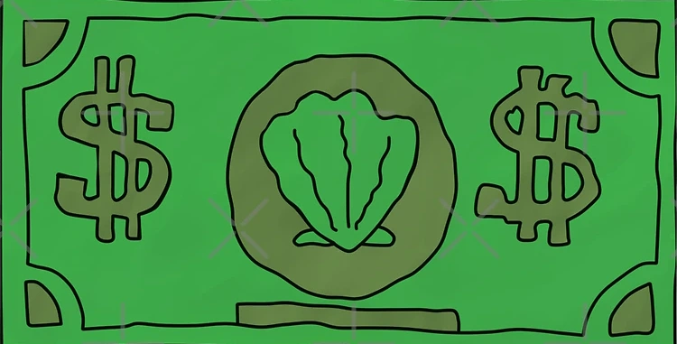 $100 USD