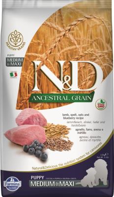 Farmina N&D Ancestral Grain Dry Dog Food, Lamb & Blueberry, Puppy, Medium & Maxi, 5.5-lb