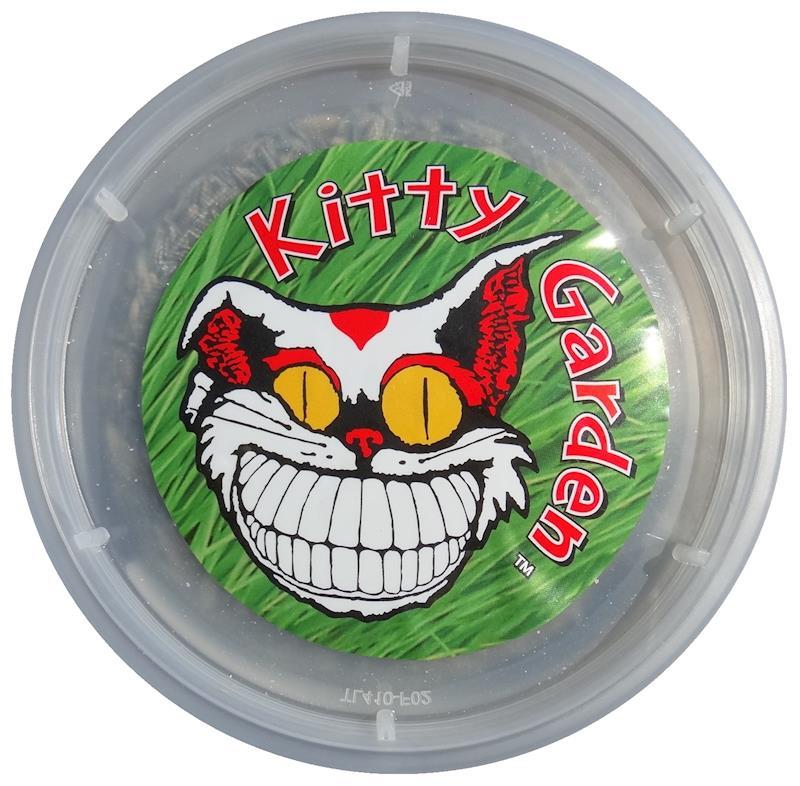 Alice's Kitty Garden Cat Grass