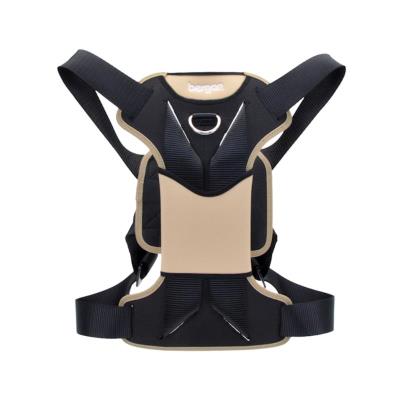 Bergan Auto Dog Harness, Large